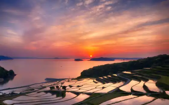 терасса, рис, закат, rising, sun, japanese, япония, горизонт, префектура, природа