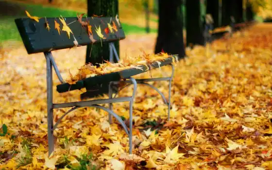 осень, листья, флот, скамейка, природа, графика, 
