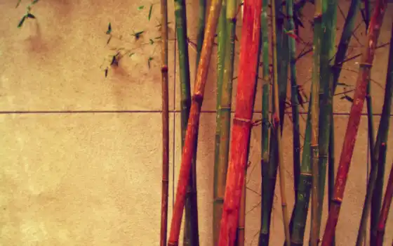 бамбук, различные, классные, цвет, древесина, соответствующие, веревка,