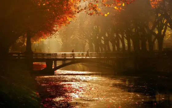 канал, осень, германия, достопримечательность, дерево, дюссельдорф, мост, река, круиз