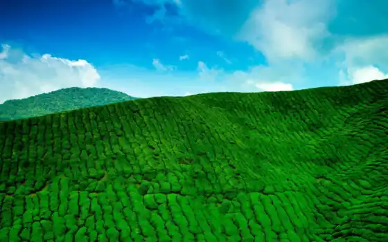 обои на рабочий стол, красивые картинки, картинки для ipad, обои для android