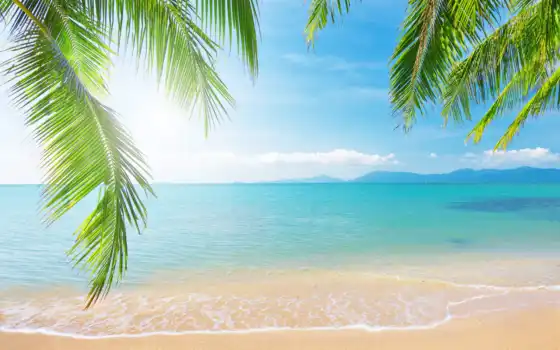 пальмы, пляж, море, фотообои, берег, 
