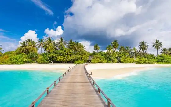 maldives, ocean, island