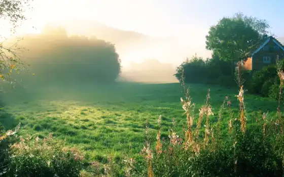 утро, деревне, летнее, туманное, природа, 