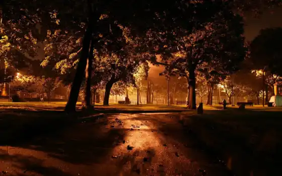 парк, большой город, осень, скамейка, свет, деревья, фонар, город, ночь,