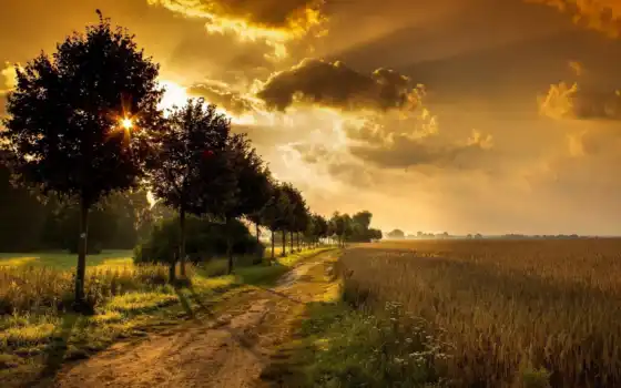 грязь, грязь, грязь, поле, деревья