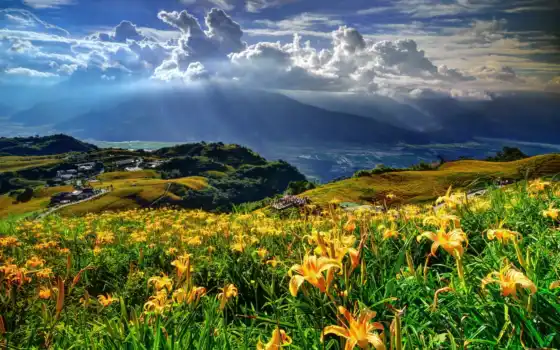 ,природа, горы, цветы, облака, свет, 