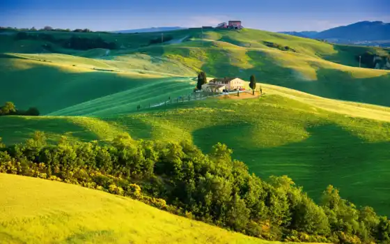 tuscany, italy, деревья, лето, сельская местность, знакомства, свет,