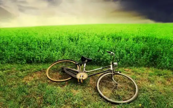 велосипед, трава, поле, горизонт, небо
