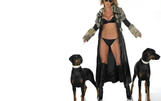 черный, наряд, 2, собаки