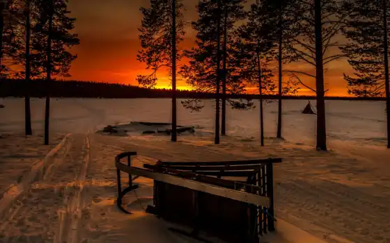 солнце, лес, зима