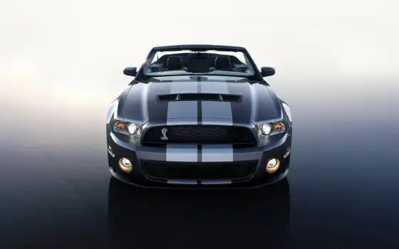 mustang, shelby, ford,каб