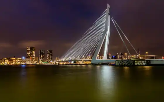 роттердам, мост, erasmus