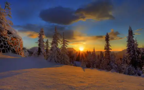 зац, зима, лес, облака, сердце, елки, снег,