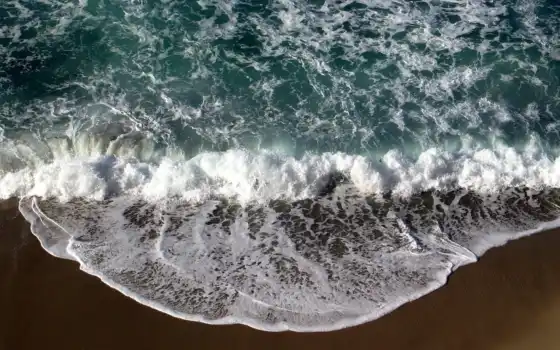 море, волоса, серфинг, копка, песок,