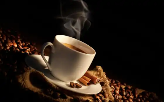 coffee, cup, seed, род, утро