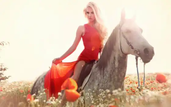 лошадь, stokovyi, платье, девушка, красное, поле, фото, spanish, гитара, rumba, relax