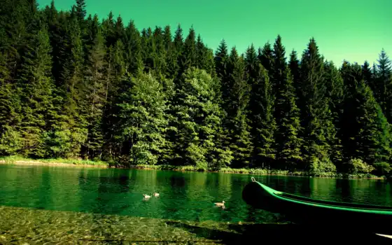 лес, река, лодка, природа, широкоформатные, 
