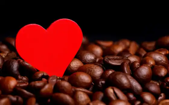 кофе, рыжие, кофе, кофе, кофе, цитатер