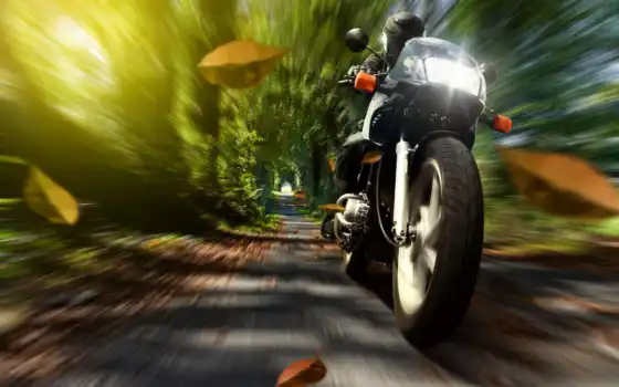 шлем, мотоциклист, скорость, мотоцикл, мотоциклы, картинка, природа, осень, листва, 